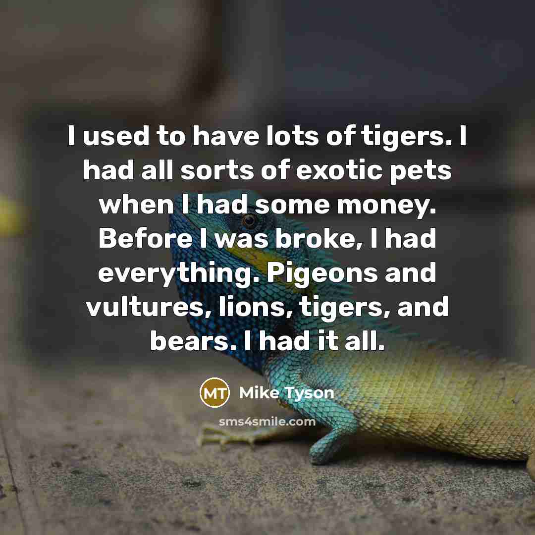 “I used to have lots of tigers. I had all sorts of exotic pets when I had some money. Before I was broke, I had everything. Pigeons and vultures, lions, tigers, and bears. I had it all.” quote by Mike Tyson