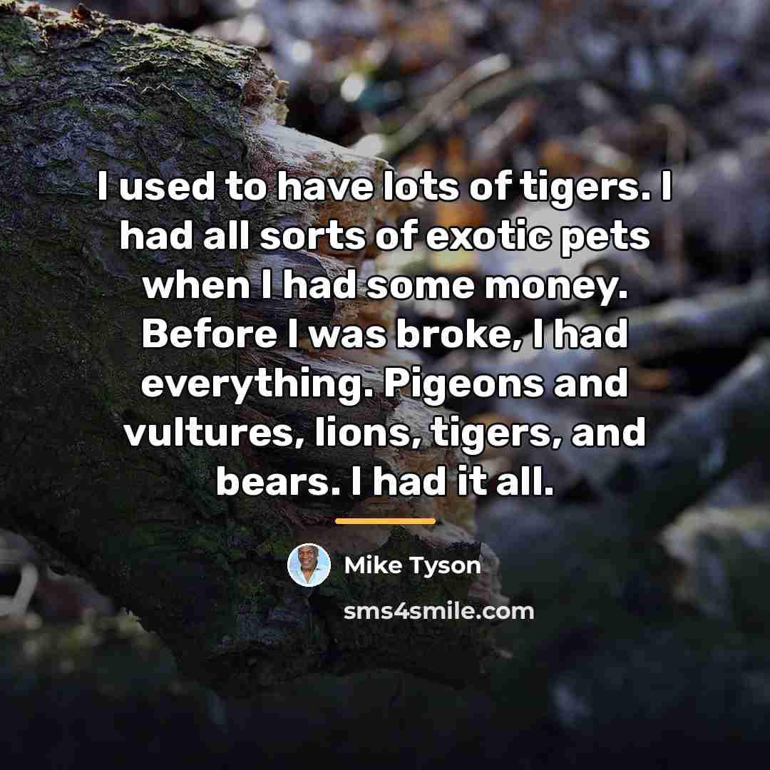 “I used to have lots of tigers. I had all…” quote by Mike Tyson