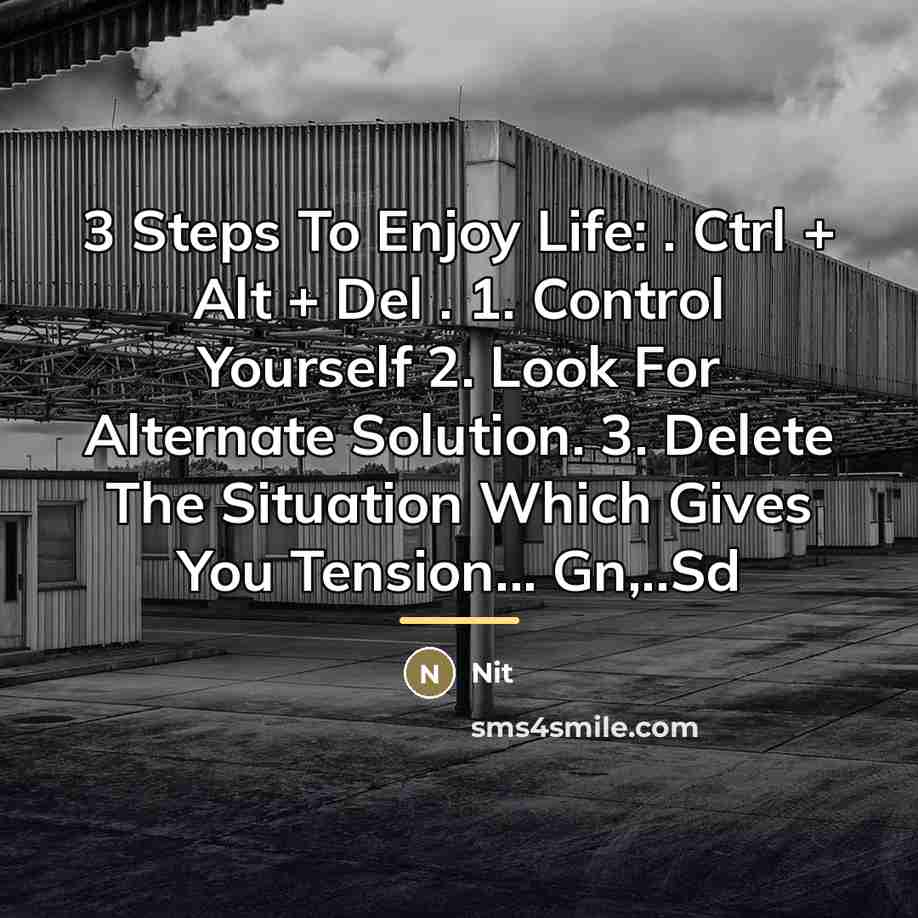 “3 Steps To Enjoy Life: . Ctrl + Alt +…” quote by Nit
