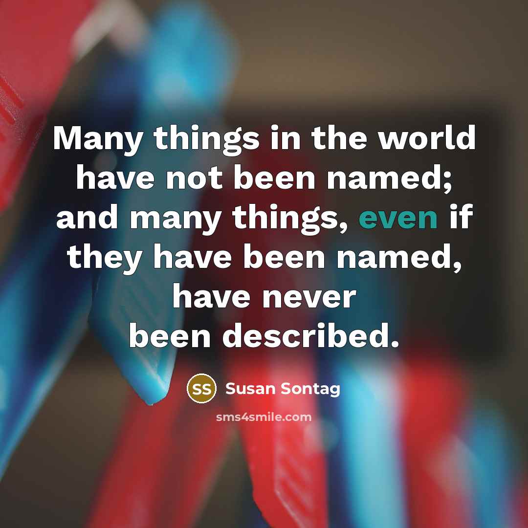 “Many things in the world have not been named; and…” quote by Susan Sontag