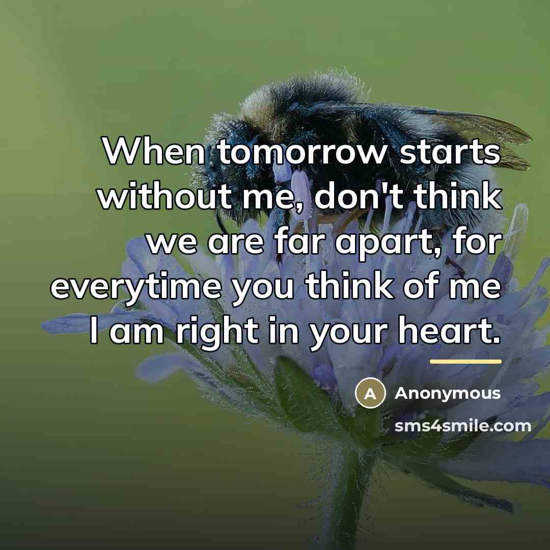 “When tomorrow starts without me, don't think we are far…” quote by Anonymous