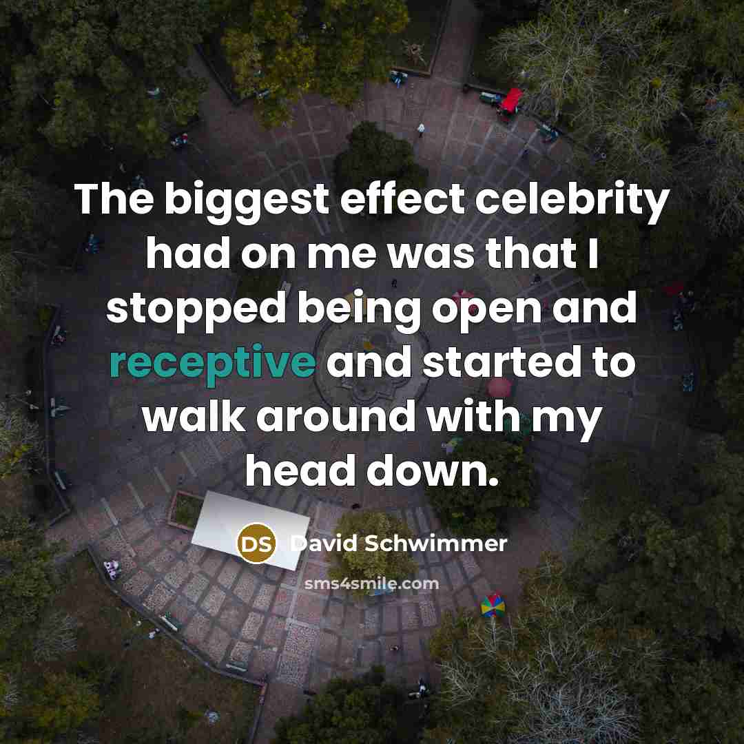 “The biggest effect celebrity had on me was that I…” quote by David Schwimmer