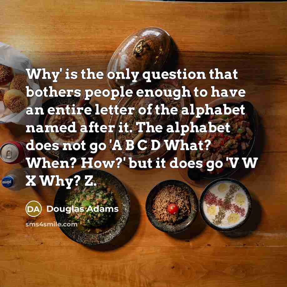 “Why' is the only question that bothers people enough to…” quote by Douglas Adams