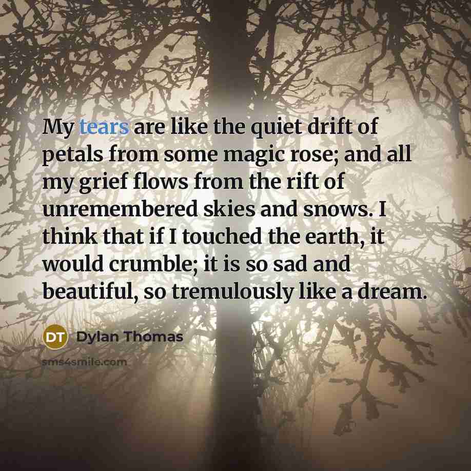 “My tears are like the quiet drift of petals from…” quote by Dylan Thomas