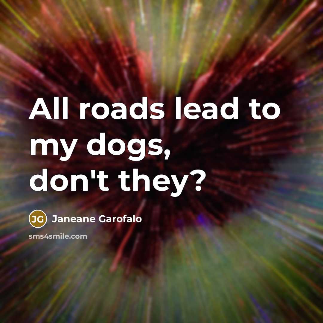 “All roads lead to my dogs, don't they?” quote by Janeane Garofalo