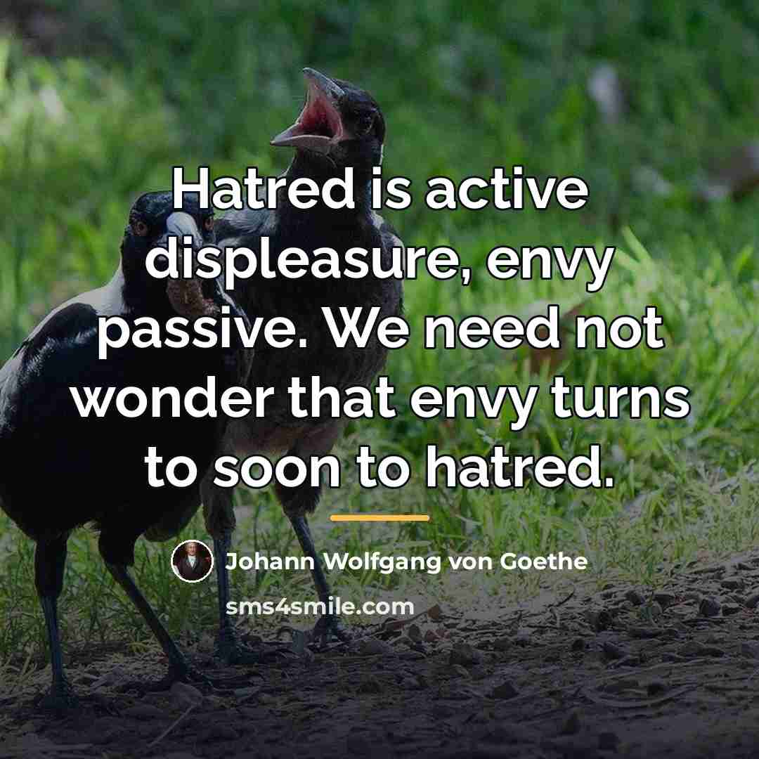“Hatred is active displeasure, envy passive. We need not wonder…” quote by Johann Wolfgang von Goethe