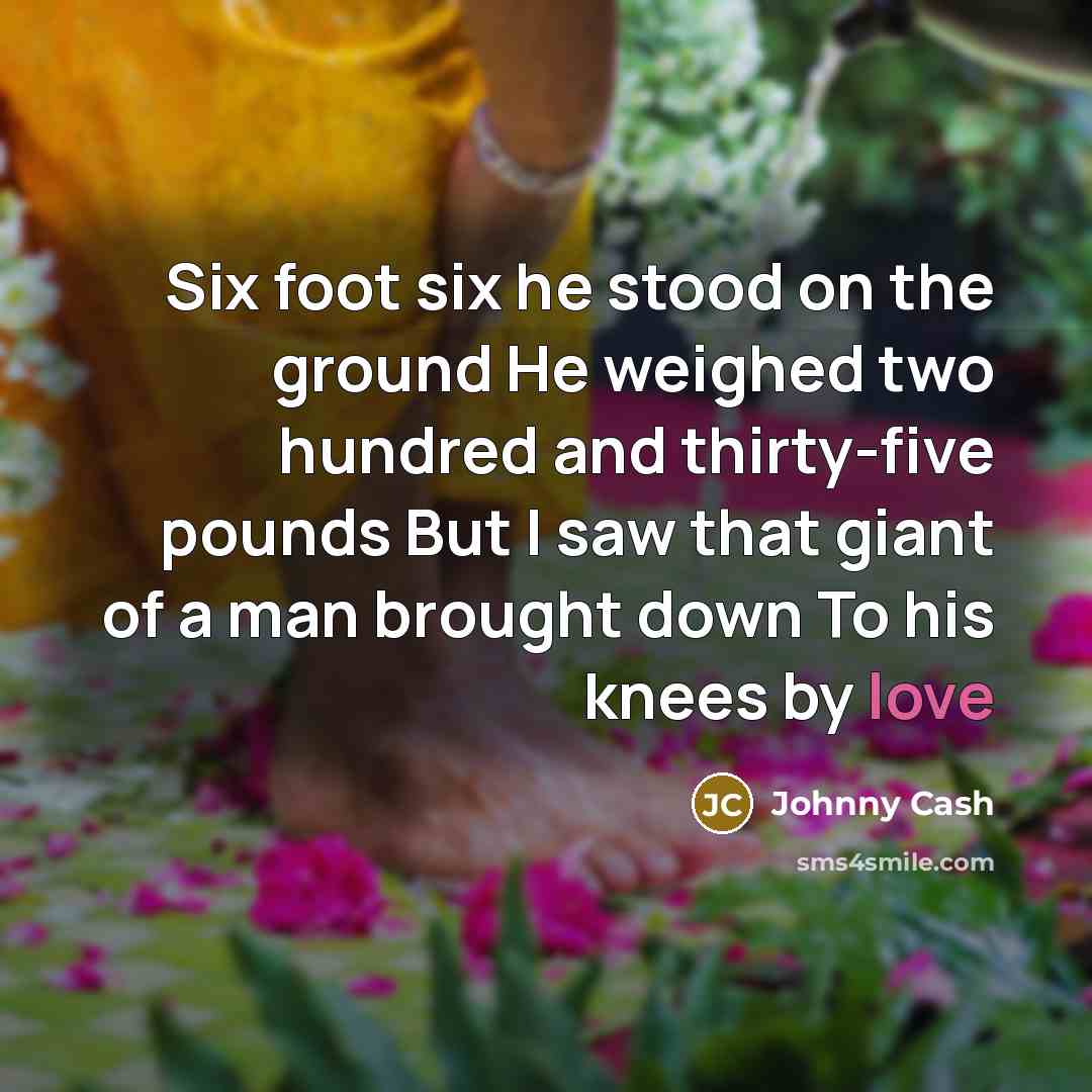 “Six foot six he stood on the ground He weighed…” quote by Johnny Cash
