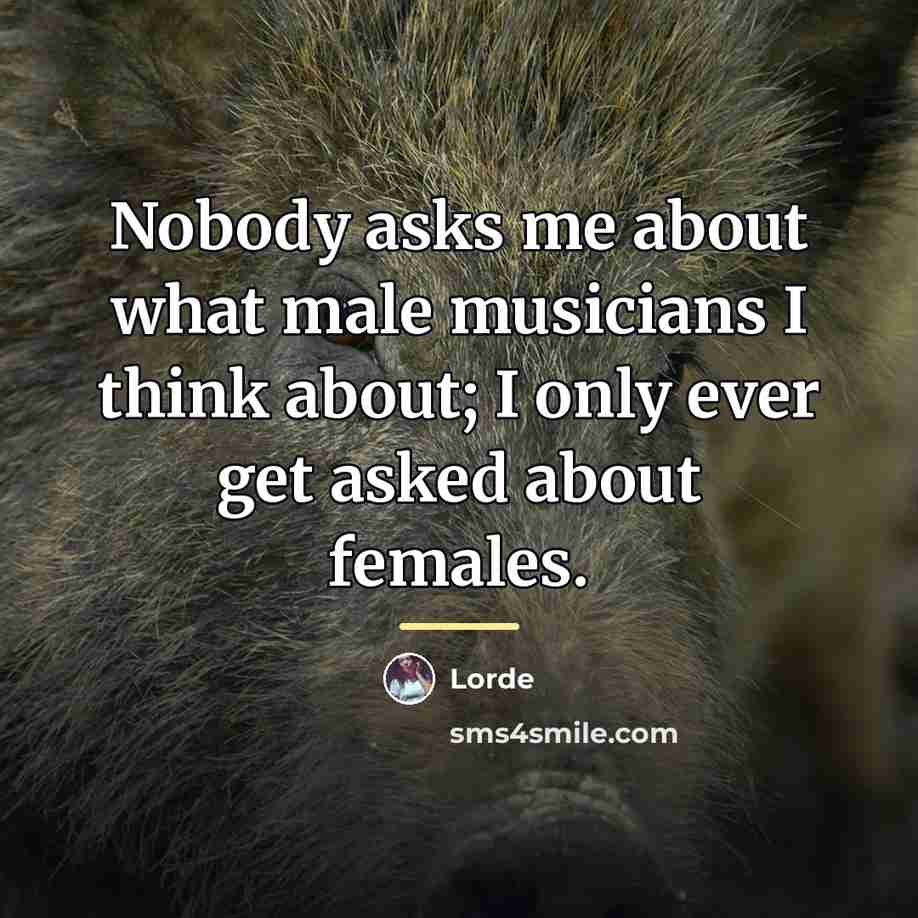 “Nobody asks me about what male musicians I think about;…” quote by Lorde