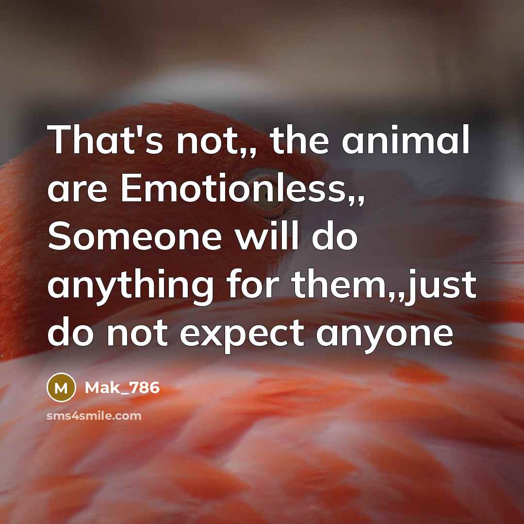 “That's not,, the animal are Emotionless,, Someone will do anything for them,,just do not expect anyone” quote by Mak_786