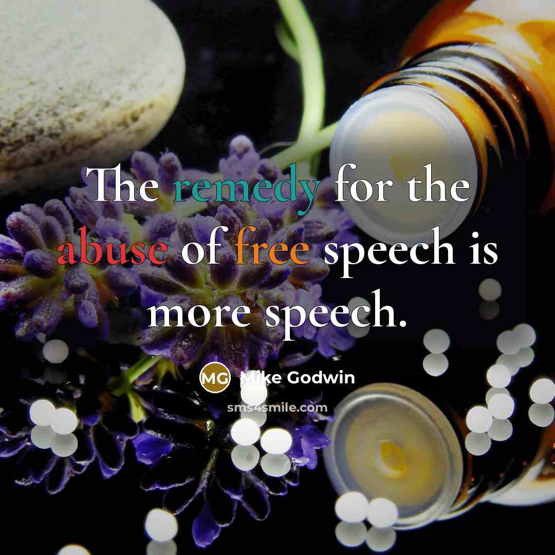 “The remedy for the abuse of free speech is more…” quote by Mike Godwin