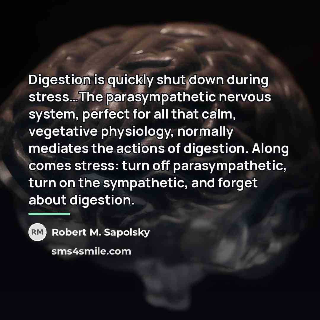 “Digestion is quickly shut down during stress…The parasympathetic nervous system,…” quote by Robert M. Sapolsky