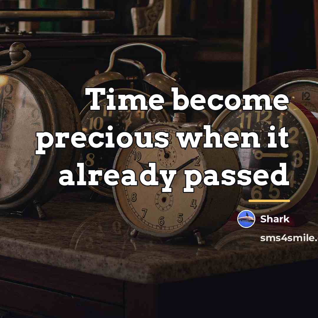 “Time become precious when it already passed…” quote by Shark