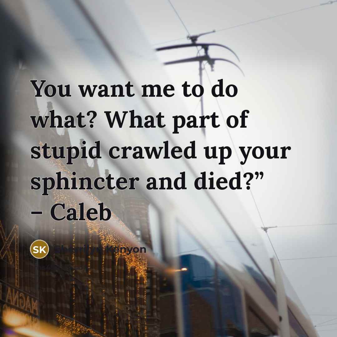 “You want me to do what? What part of stupid…” quote by Sherrilyn Kenyon