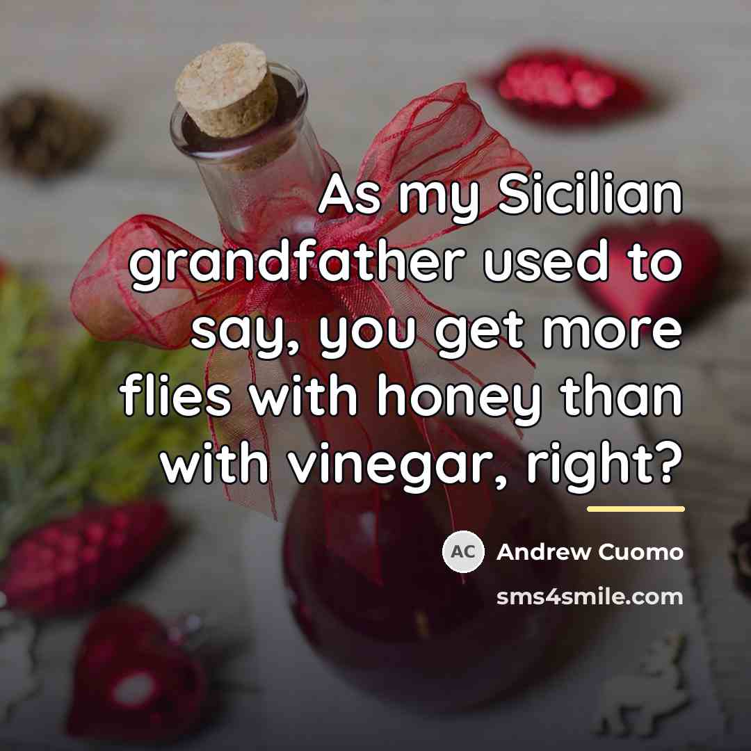 “As my Sicilian grandfather used to say, you get more…” quote by Andrew Cuomo