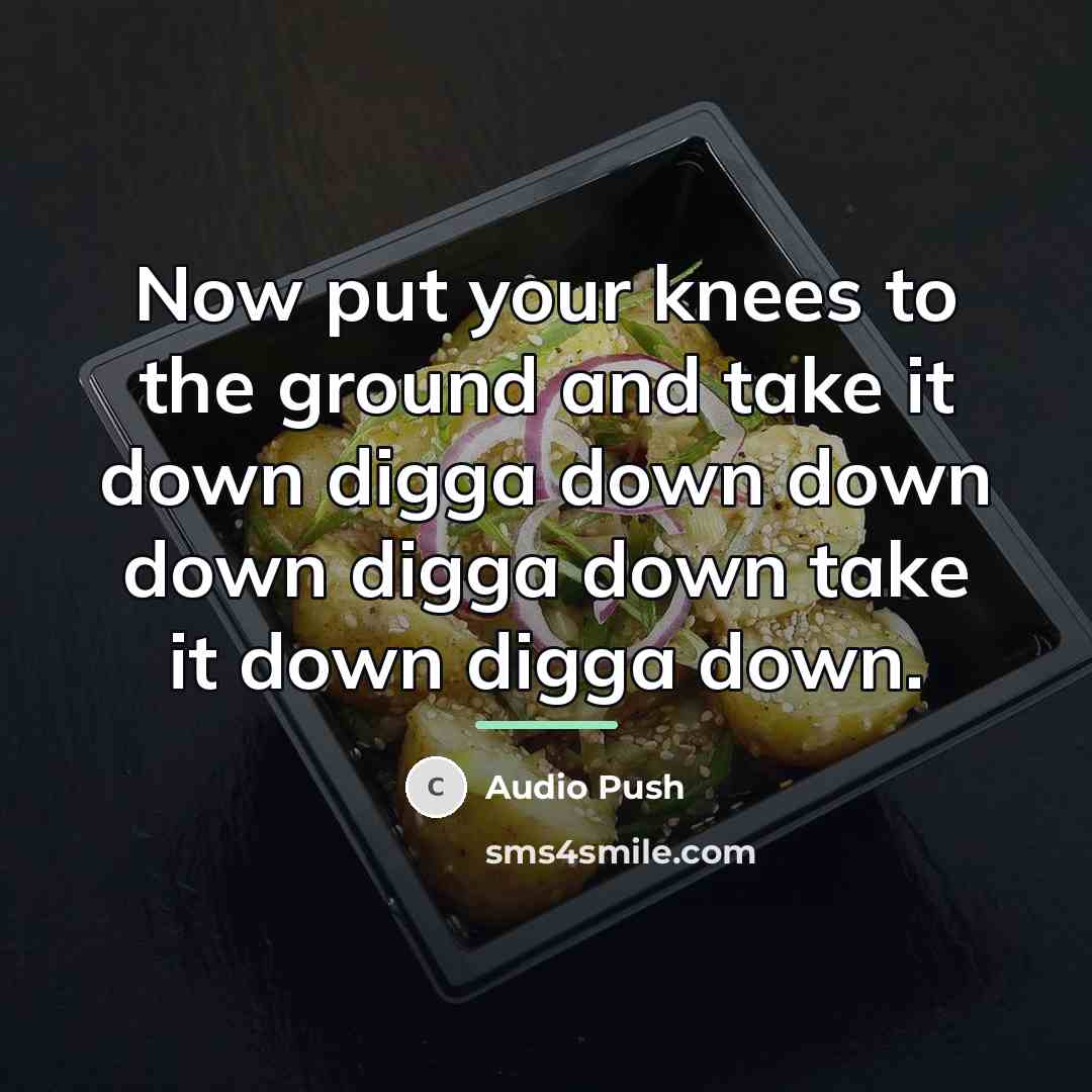 “Now put your knees to the ground and take it…” quote by Audio Push