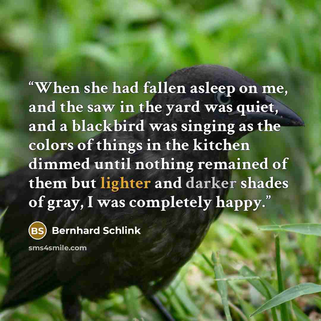 “When she had fallen asleep on me, and the saw in the yard was quiet, and a blackbird was singing as the colors of things in the kitchen dimmed until nothing remained of them but lighter and darker shades of gray, I was completely happy.” quote by Bernhard Schlink