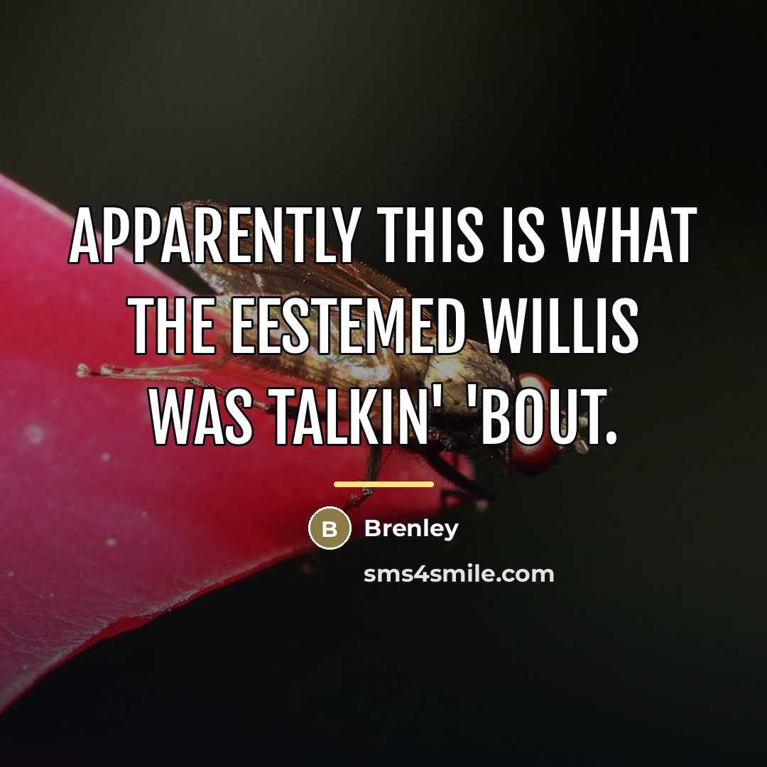 “Apparently this is what the eestemed Willis was talkin' 'bout.…” quote by Brenley