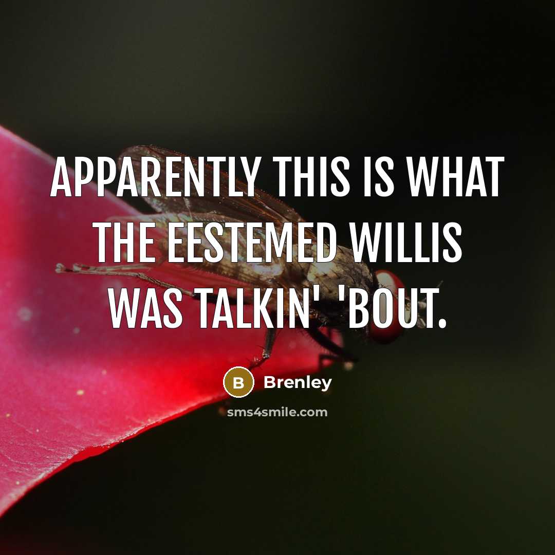“Apparently this is what the eestemed Willis was talkin' 'bout.” quote by Brenley