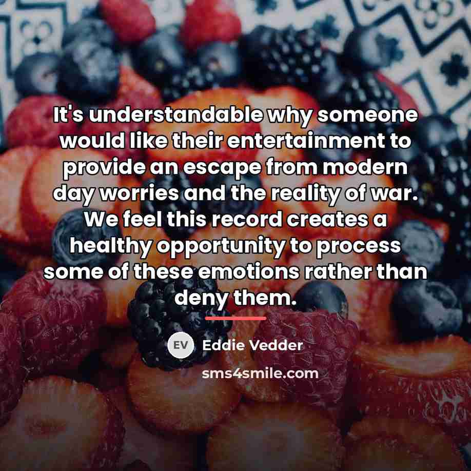 “It's understandable why someone would like their entertainment to provide…” quote by Eddie Vedder