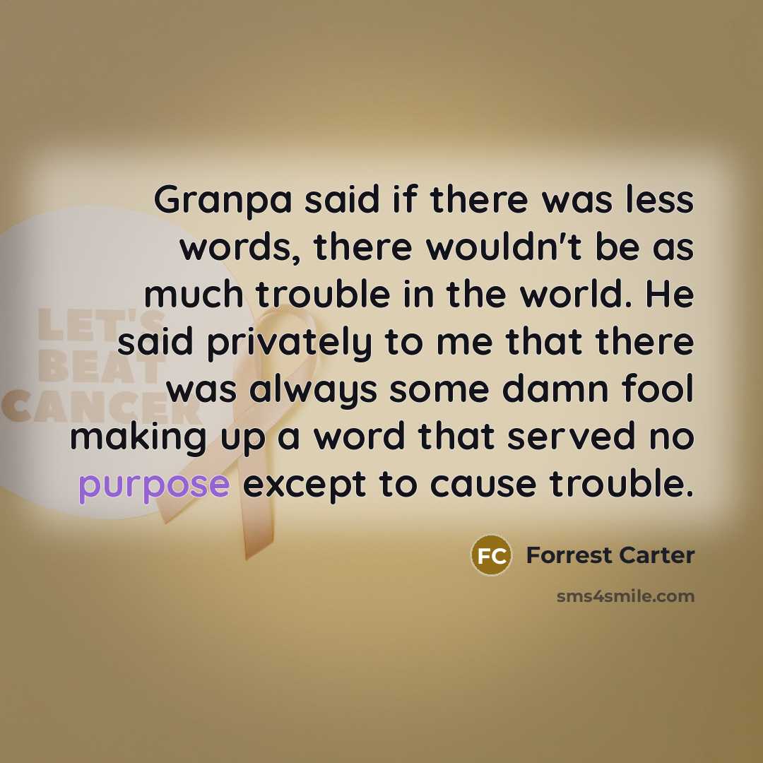 “Granpa said if there was less words, there wouldn't be…” quote by Forrest Carter