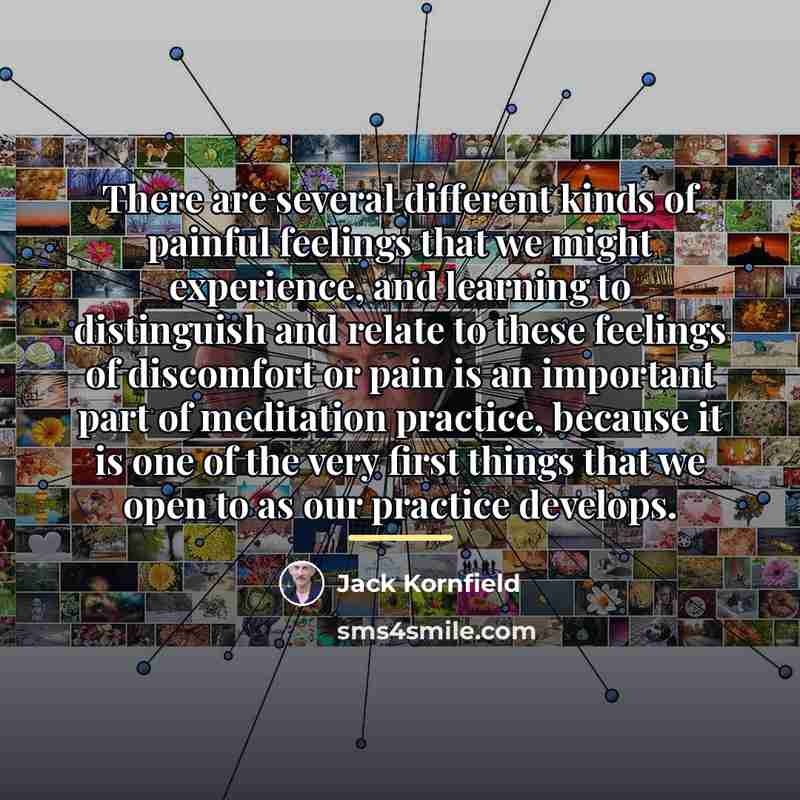 “There are several different kinds of painful feelings that we…” quote by Jack Kornfield
