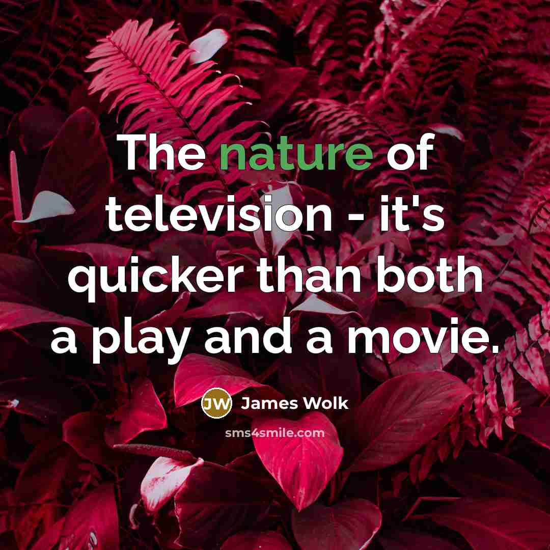 “The nature of television - it's quicker than both a…” quote by James Wolk