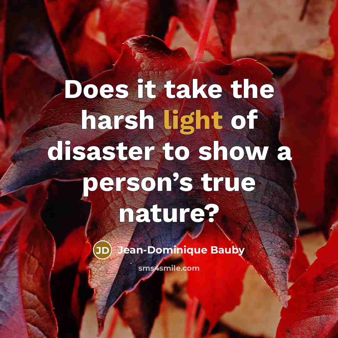 “Does it take the harsh light of disaster to show…” quote by Jean-Dominique Bauby