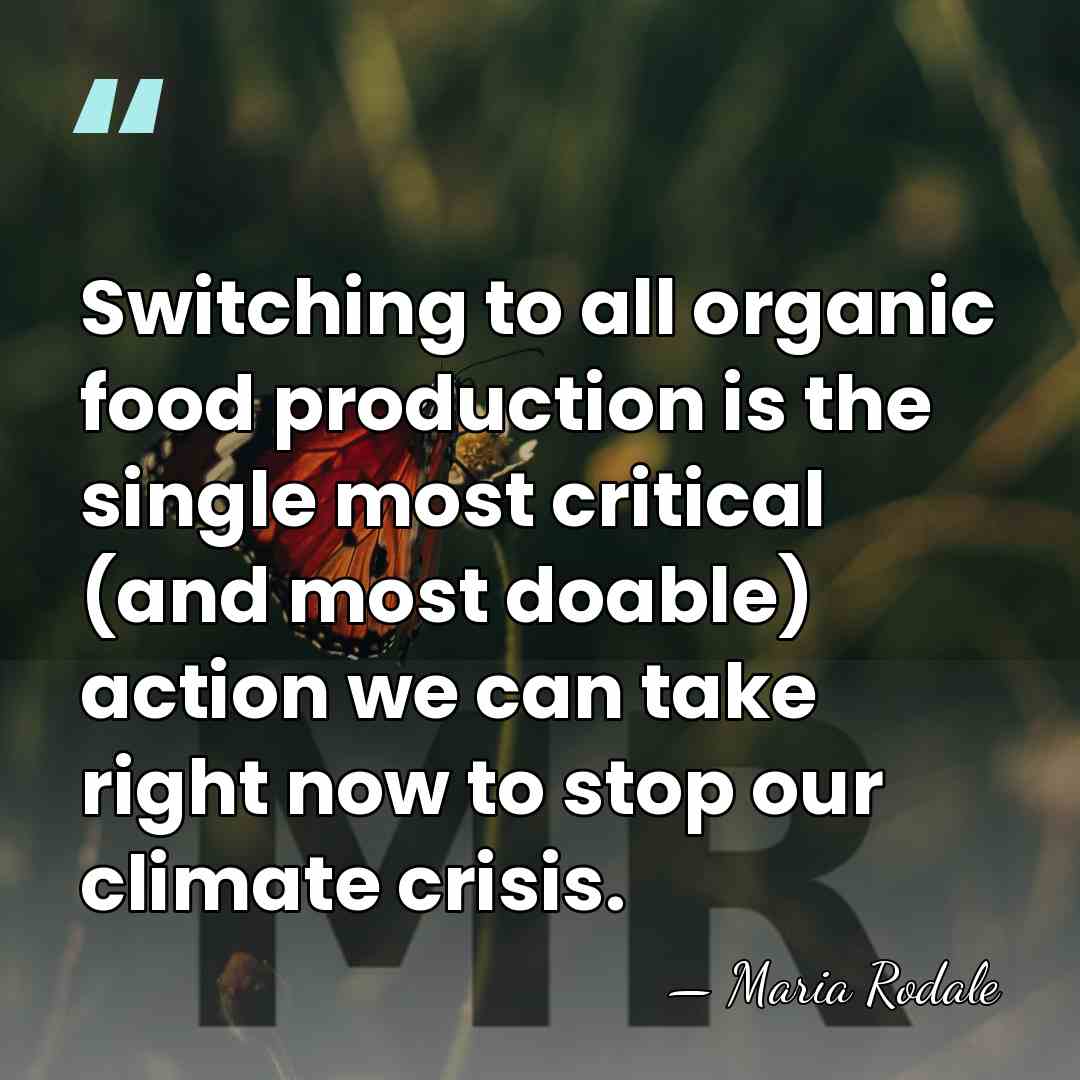 Switching to all organic food production is the single most critical (and&hellip; - Maria Rodale