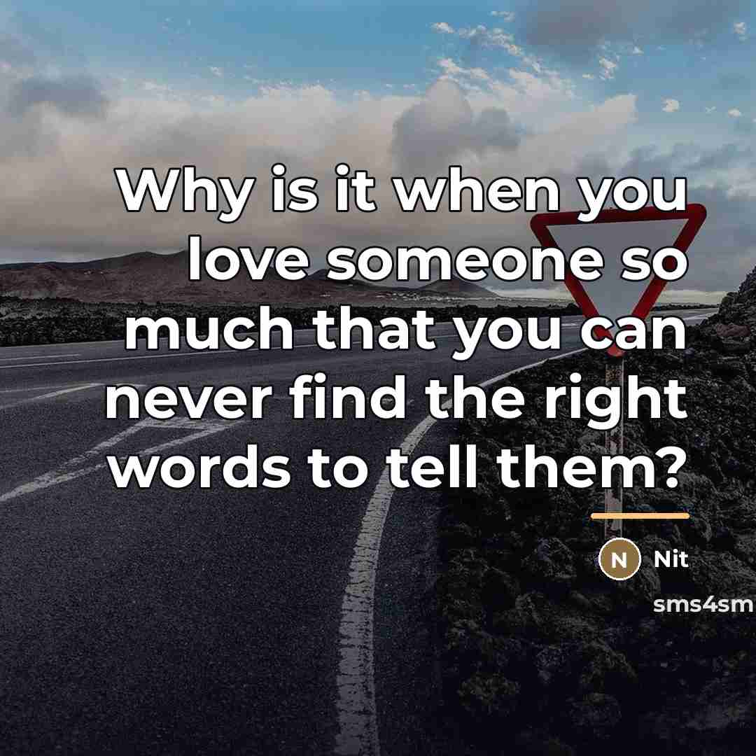 “Why is it when you love someone so much that…” quote by Nit