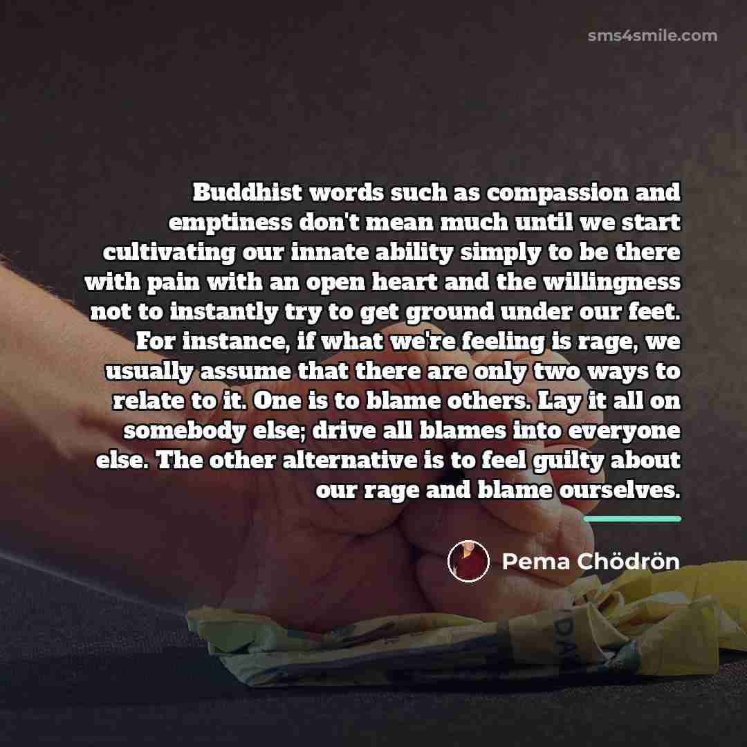 “Buddhist words such as compassion and emptiness don't mean much…” quote by Pema Chodron