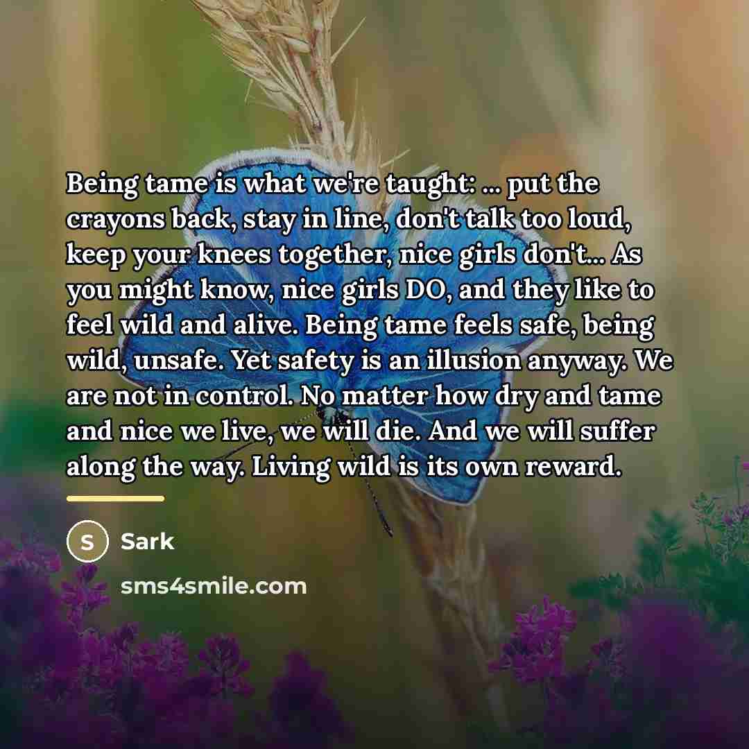 “Being tame is what we're taught: ... put the crayons…” quote by Sark