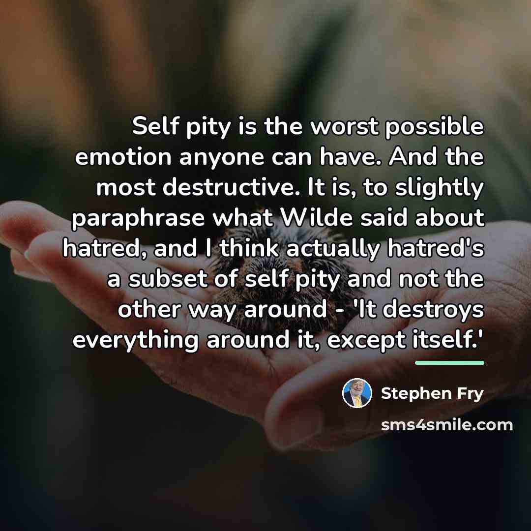 “Self pity is the worst possible emotion anyone can have.…” quote by Stephen Fry