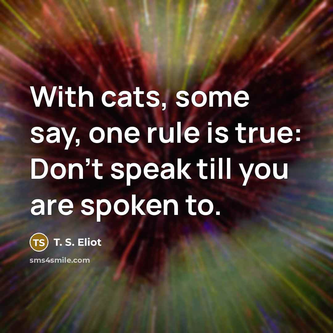 “With cats, some say, one rule is true: Don't speak…” quote by T. S. Eliot