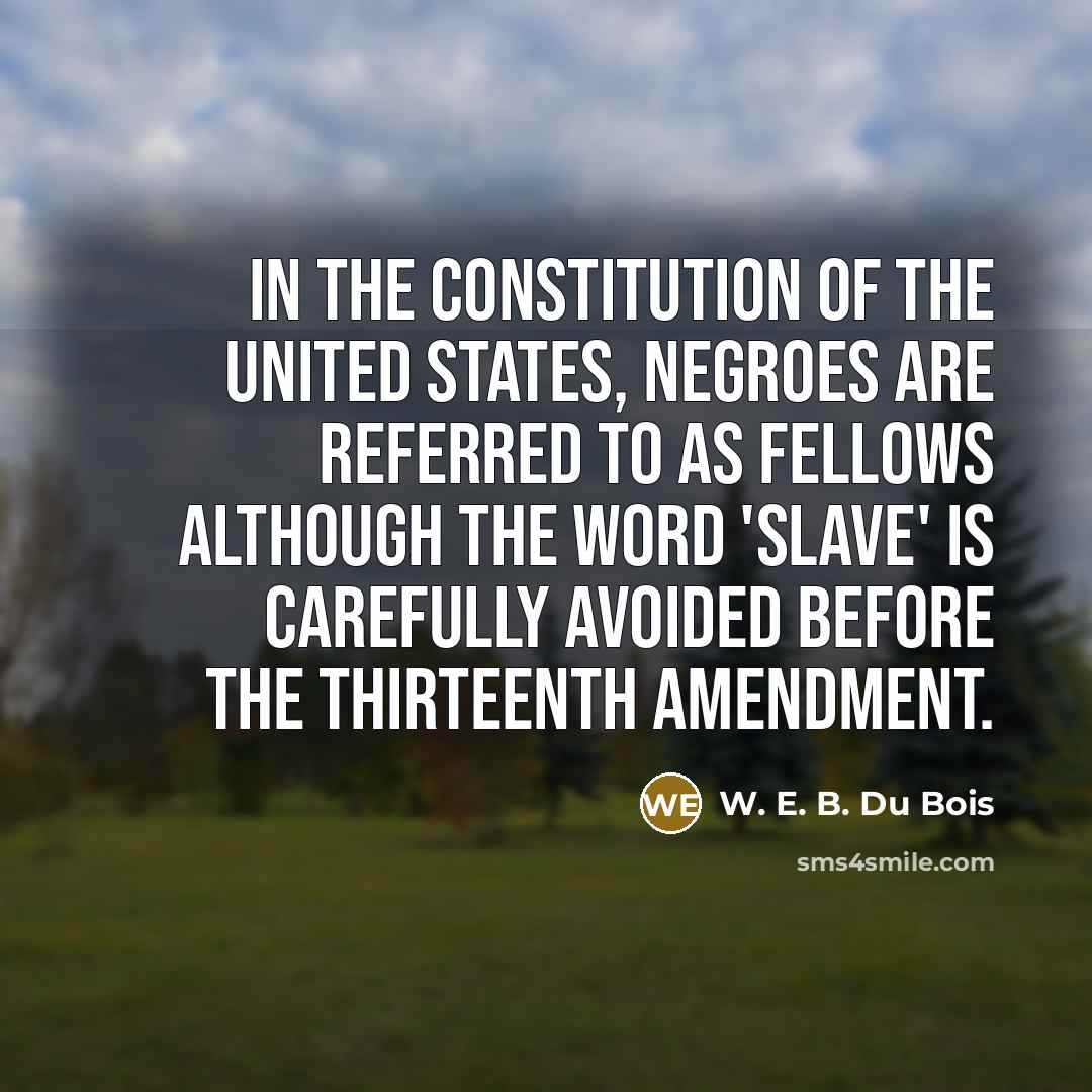 “In the Constitution of the United States, Negroes are referred…” quote by W. E. B. Du Bois