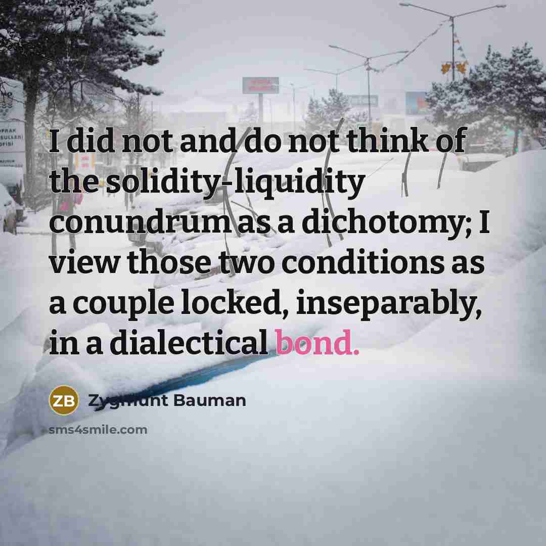“I did not and do not think of the solidity-liquidity…” quote by Zygmunt Bauman