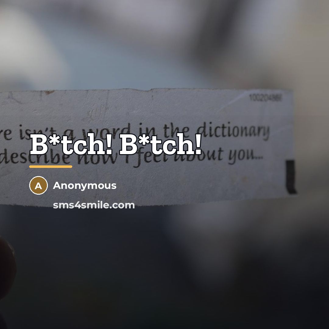 “B*tch! B*tch!…” quote by Anonymous