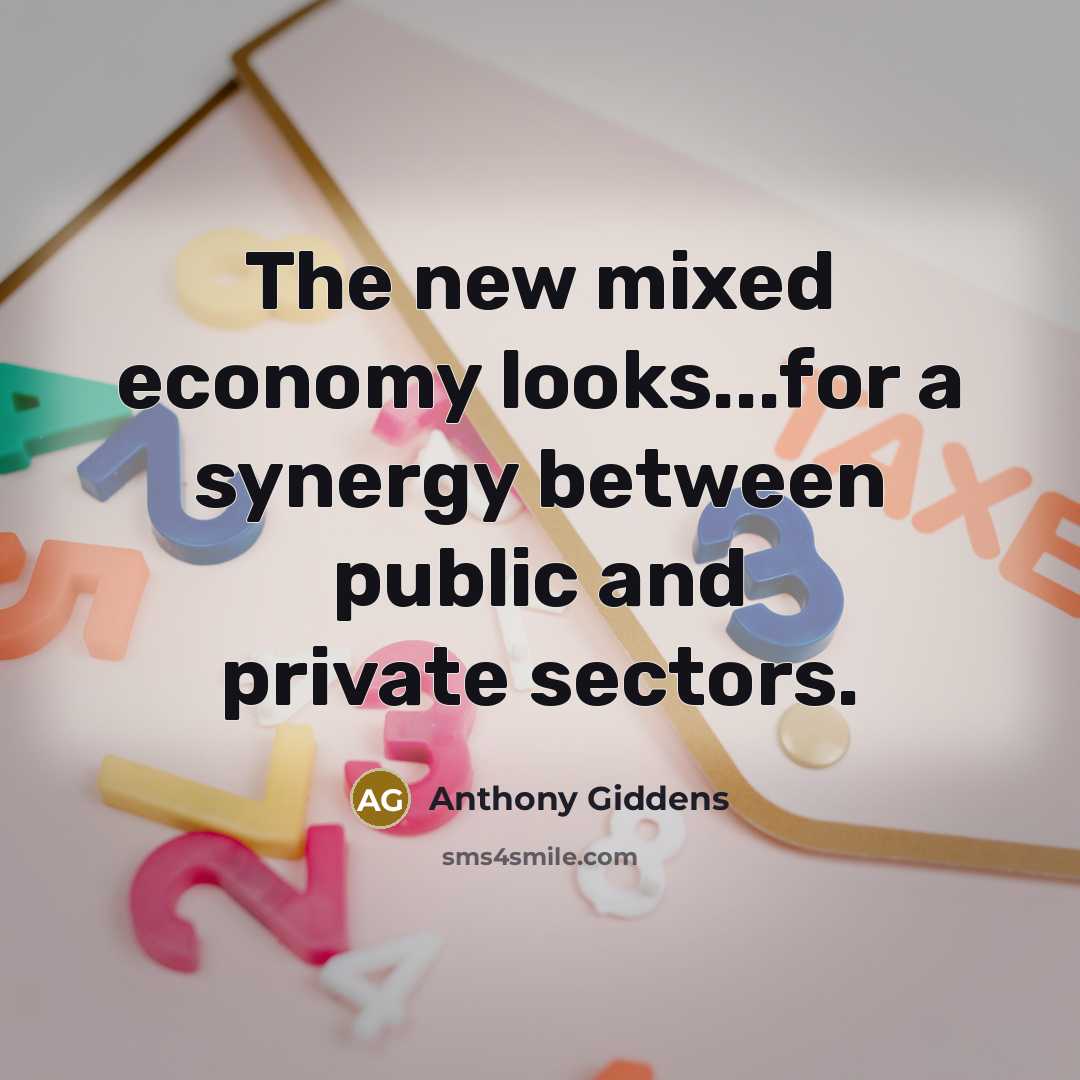 “The new mixed economy looks...for a synergy between public and…” quote by Anthony Giddens