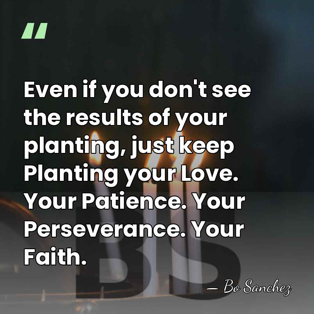 Even if you don't see the results of your planting, just keep&hellip; - Bo Sanchez