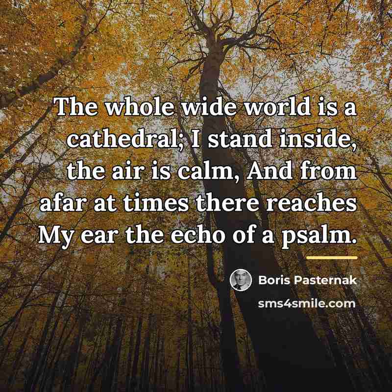 “The whole wide world is a cathedral; I stand inside,…” quote by Boris Pasternak