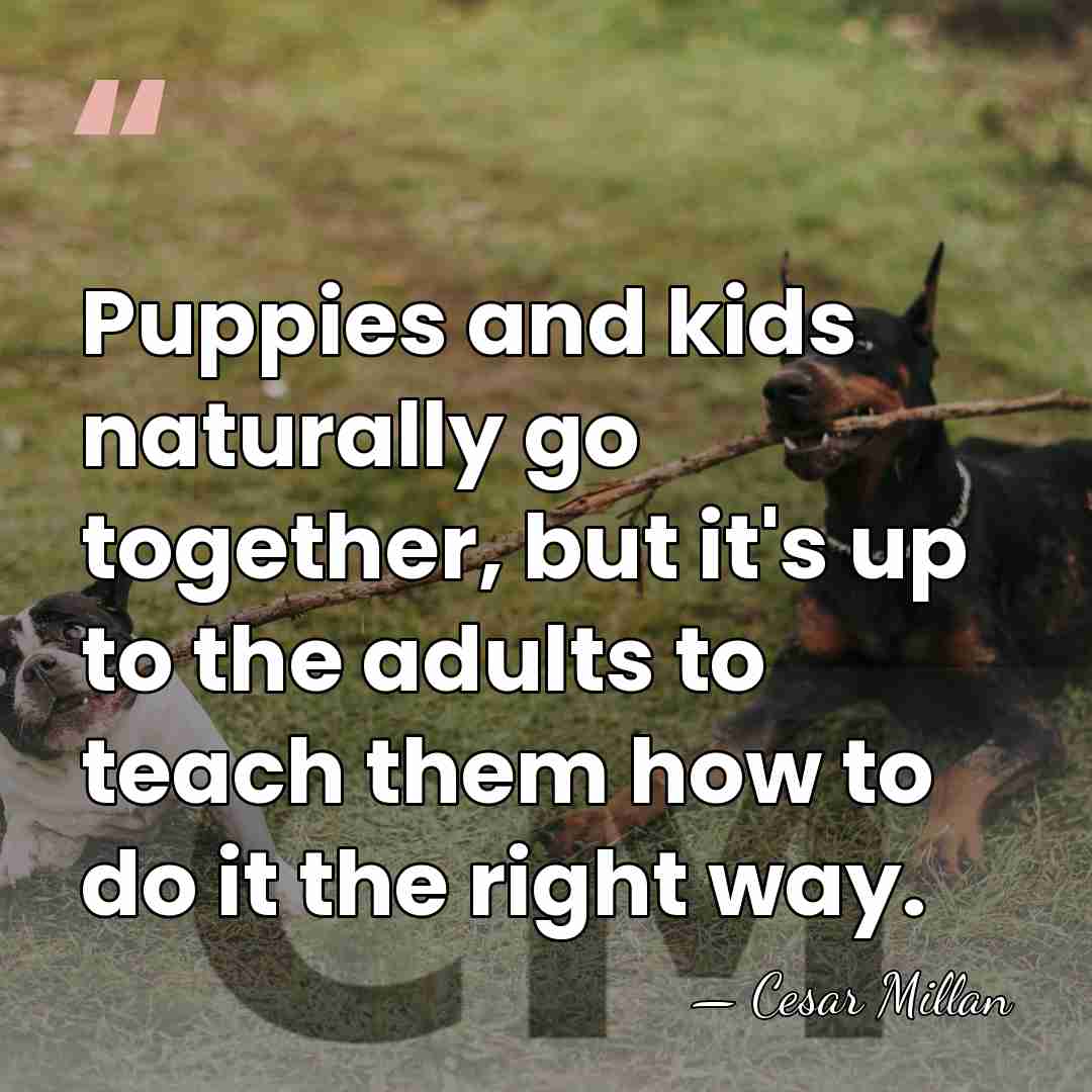 Puppies and kids naturally go together, but it's up to the adults&hellip; - Cesar Millan