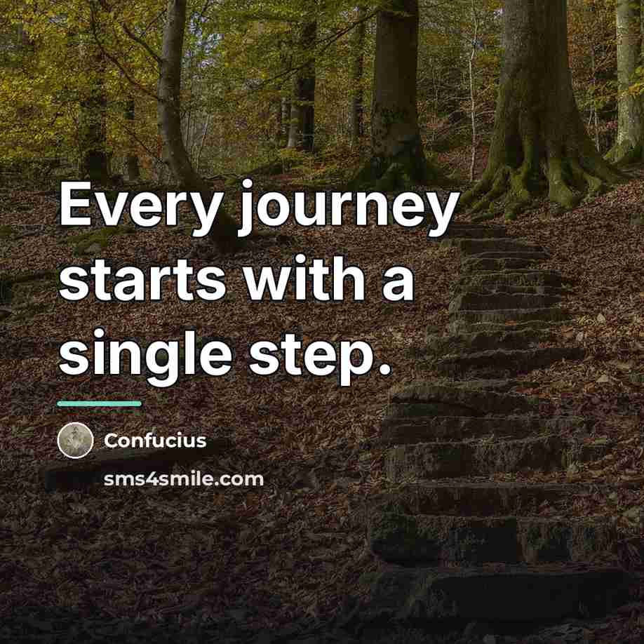 “Every journey starts with a single step.…” quote by Confucius