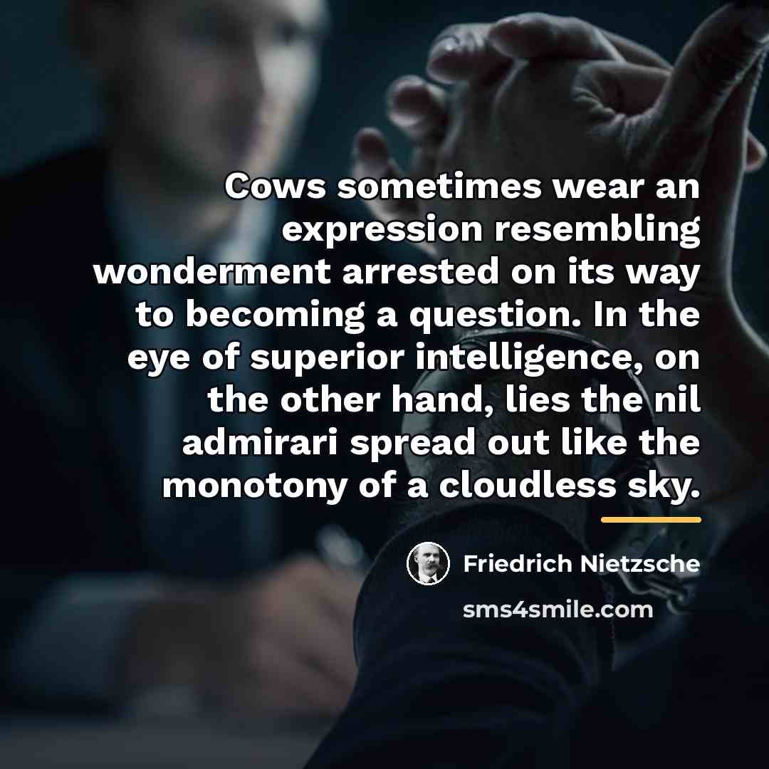 “Cows sometimes wear an expression resembling wonderment arrested on its…” quote by Friedrich Nietzsche