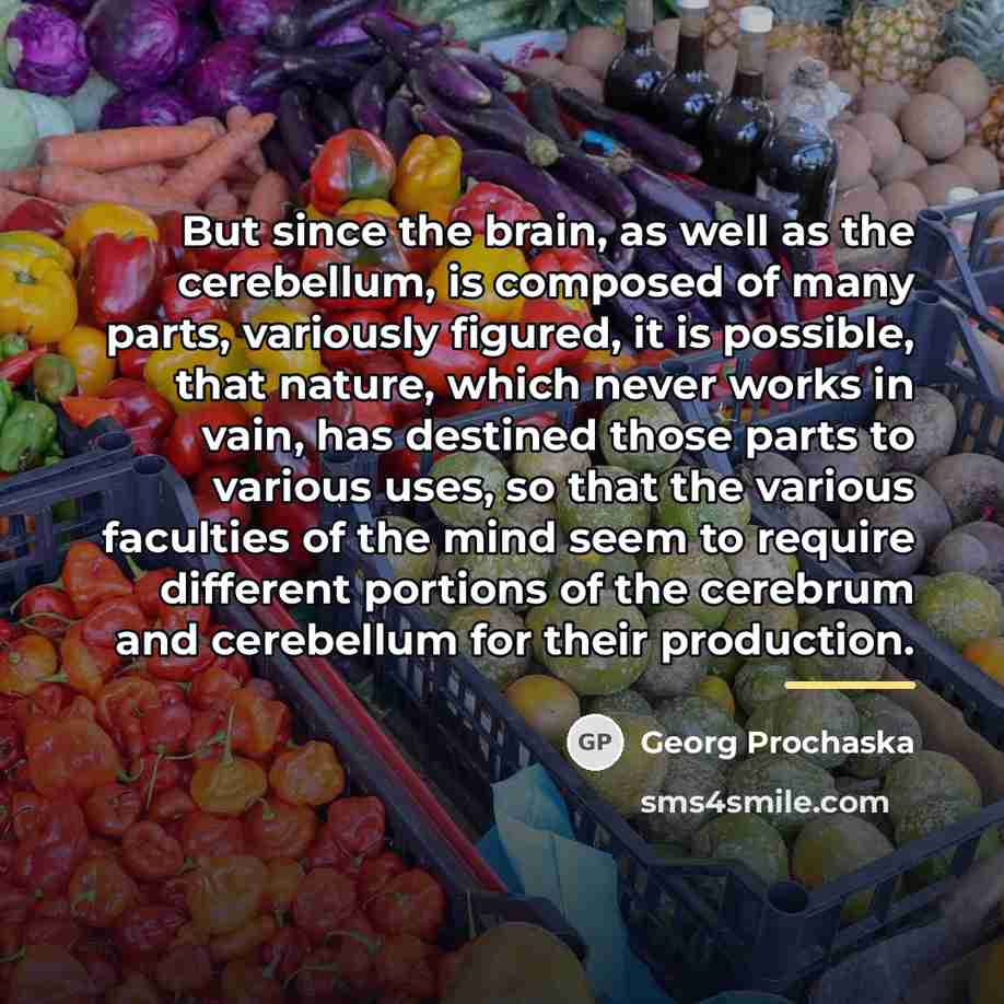 “But since the brain, as well as the cerebellum, is…” quote by Georg Prochaska