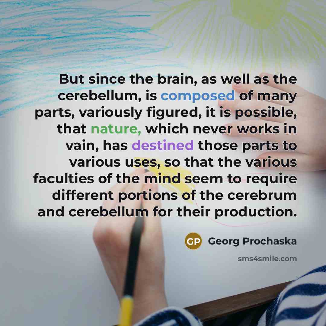 “But since the brain, as well as the cerebellum, is composed of many parts, variously figured, it is possible, that nature, which never works in vain, has destined those parts to various uses, so that the various faculties of the mind seem to require different portions of the cerebrum and…” quote by Georg Prochaska