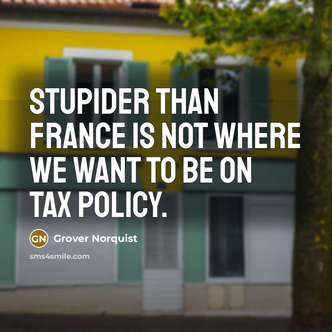 “Stupider than France is not where we want to be…” quote by Grover Norquist