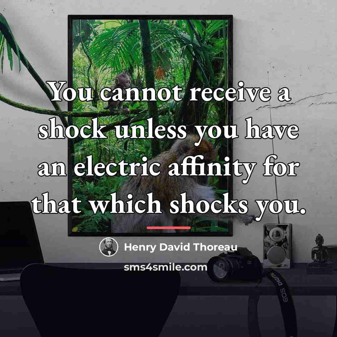 “You cannot receive a shock unless you have an electric…” quote by Henry David Thoreau