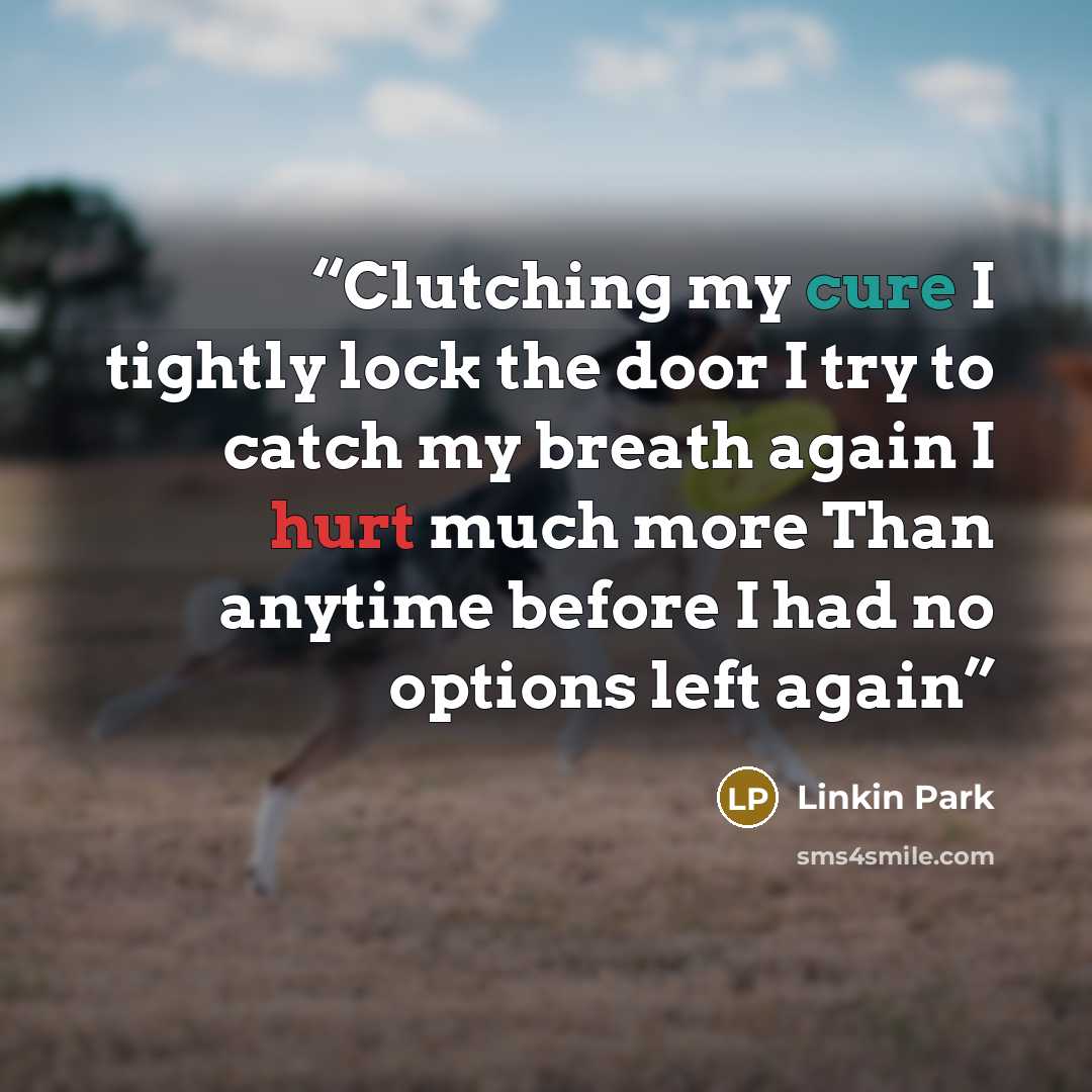 “Clutching my cure I tightly lock the door I try to catch my breath again I hurt much more Than anytime before I had no options left again” quote by Linkin Park