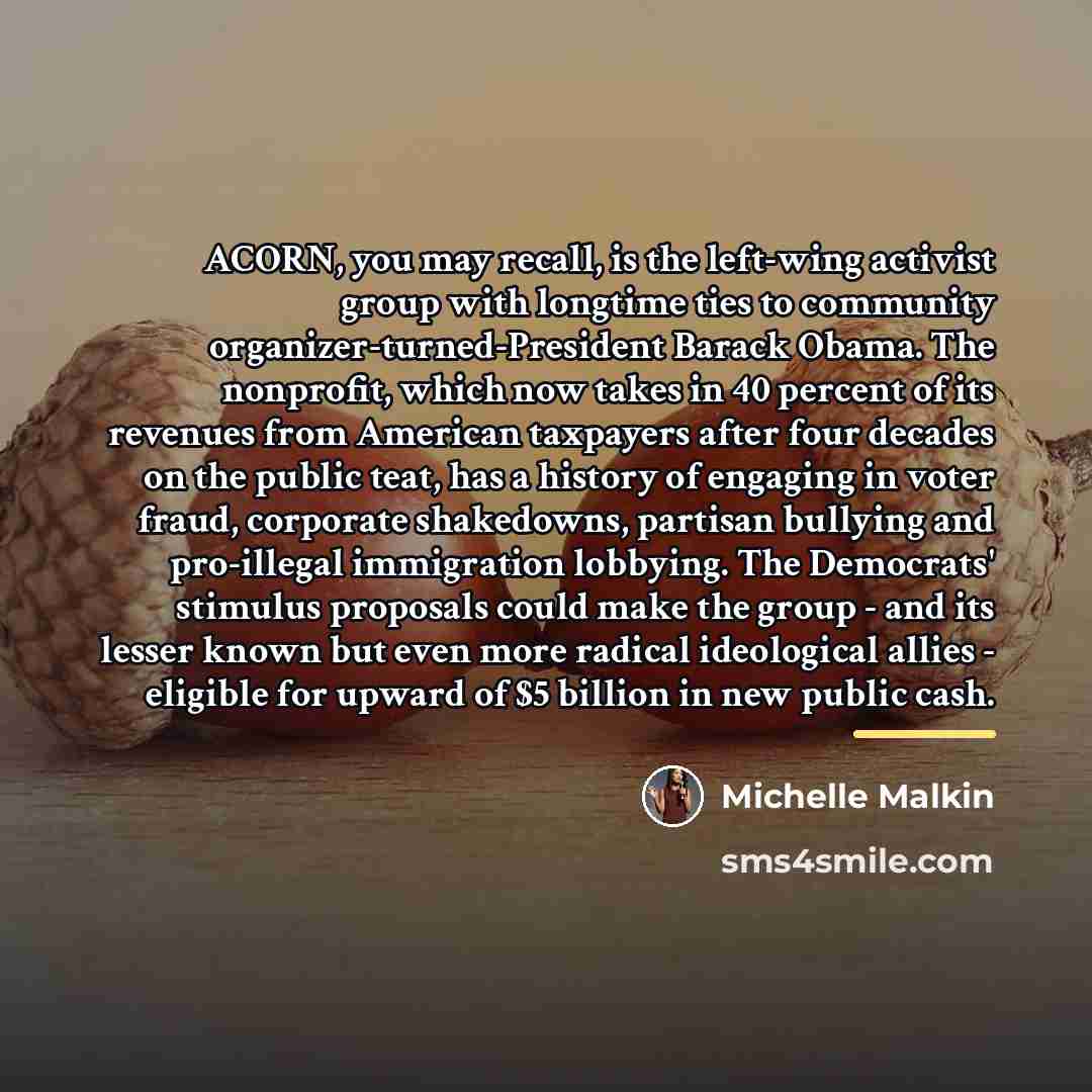 “ACORN, you may recall, is the left-wing activist group with…” quote by Michelle Malkin
