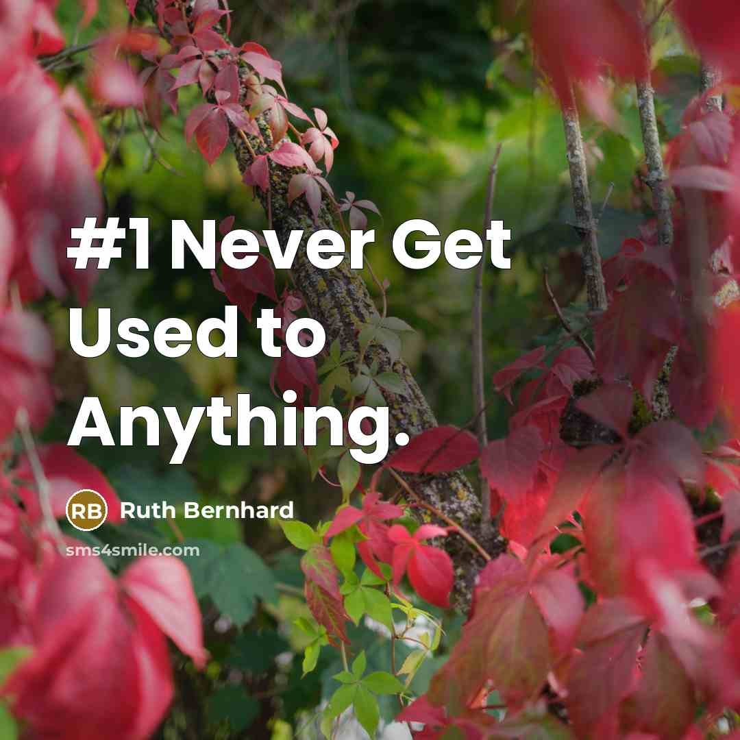 “#1 Never Get Used to Anything.…” quote by Ruth Bernhard