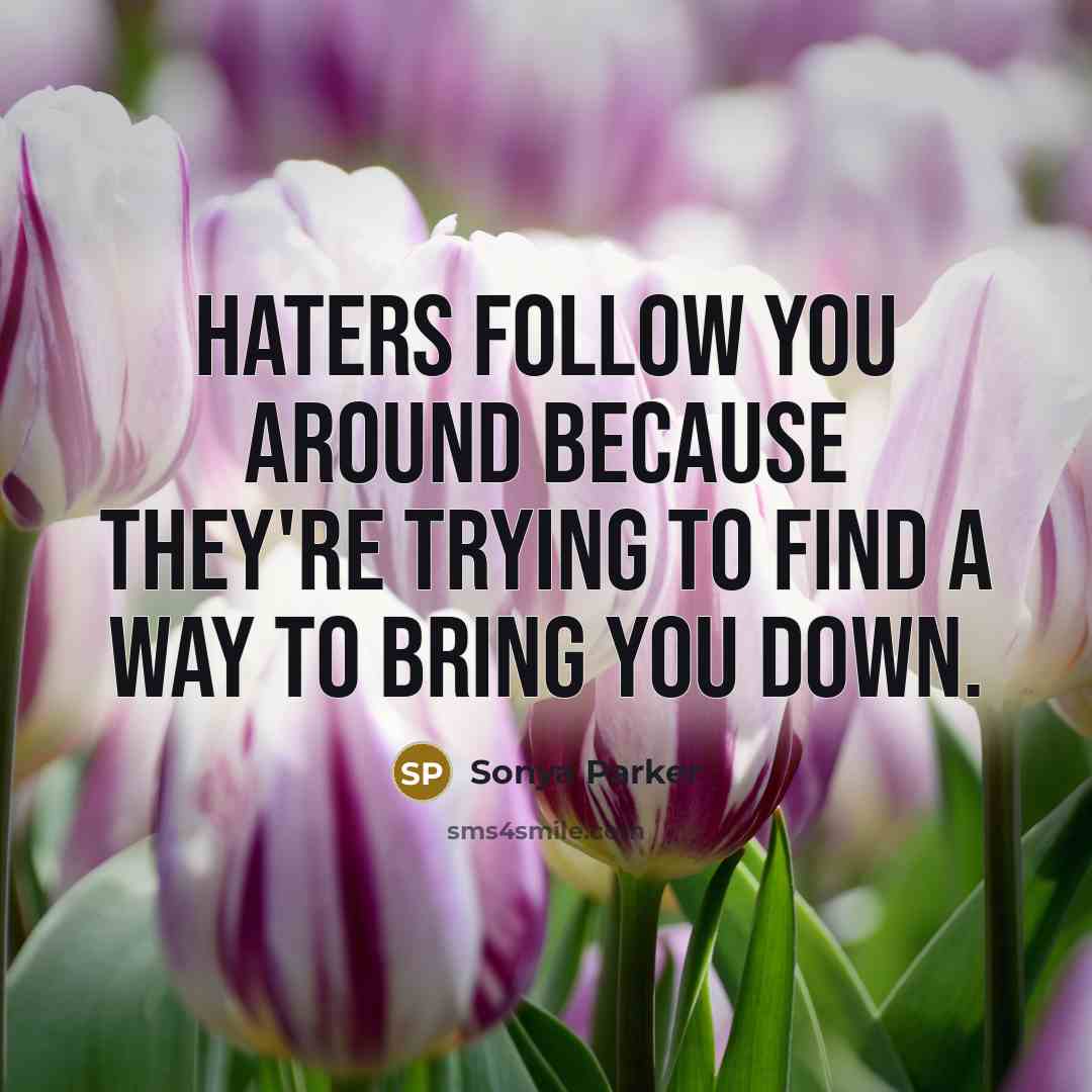 “Haters follow you around because they're trying to find a way to bring you down.” quote by SONYA PARKER